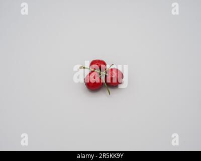 Three Juicy, sweet, organic, red cherries glistening with tempting water droplets. Stock Photo