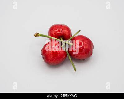 Three Juicy, sweet, organic, red cherries glistening with tempting water droplets. Stock Photo