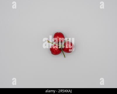 Three Juicy, sweet, organic, red cherries glistening with tempting water droplets. Stock Photo