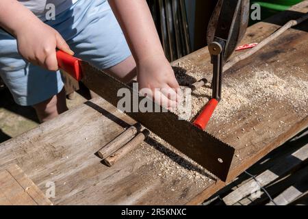 Making wooden insect house decorative bug hotel. Stock Photo