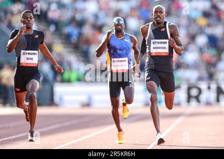HENGELO - Zakhiti Nene, Liemarvin Bonevacia in action during the 400 meters at the 42nd edition of the FBK Games. ANP VINCENT JANNINK Stock Photo