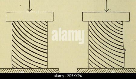 'Transactions and proceedings and report of the Philosophical Society of Adelaide, South Australia' (1878) Stock Photo