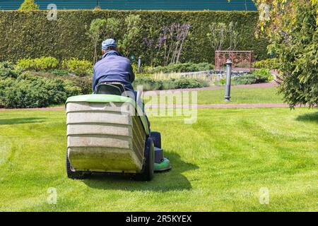 The gardener drives a tractor lawn mower and cuts the green grass of the lawn on a bright spring day. Copy space. Stock Photo