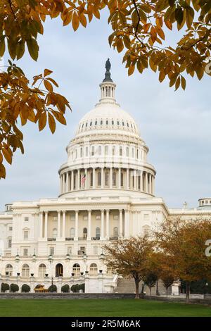 United States Capitol Building at sunset with autumn foliage, Capitol Hill, Washington DC Stock Photo