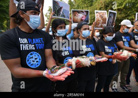 Kolkata, India. 04th June, 2023. Animal rights activists hold dead chicken and fish as they stage a memorial ceremony to commemorate animals which lost their lives this past year by humans. Credit: SOPA Images Limited/Alamy Live News Stock Photo