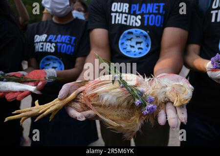 Kolkata, India. 04th June, 2023. Animal rights activist holds a dead chicken as they stage a memorial ceremony to commemorate animals which lost their lives this past year by humans. Credit: SOPA Images Limited/Alamy Live News Stock Photo