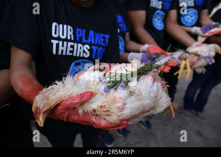 Kolkata, India. 04th June, 2023. Animal rights activists hold dead chicken as they stage a memorial ceremony to commemorate animals which lost their lives this past year by humans. Credit: SOPA Images Limited/Alamy Live News Stock Photo