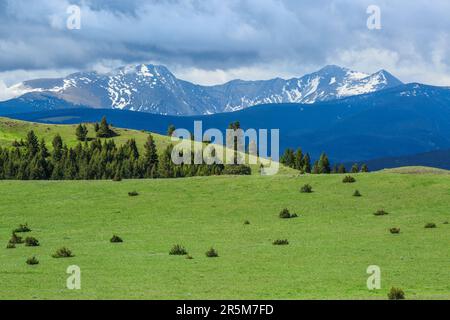 flint creek range and foothill meadows near garrison, montana Stock Photo