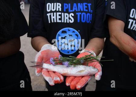 Kolkata, India. 04th June, 2023. Animal rights activist holds a dead fish as they stage a memorial ceremony to commemorate animals which lost their lives this past year by humans. (Photo by Dipayan Bose/SOPA Images/Sipa USA) Credit: Sipa USA/Alamy Live News Stock Photo