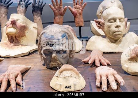 Busts made from casts of actors heads used to aid creation of skin prosthetics to bring characters from The Harry Potter films to life.e Stock Photo