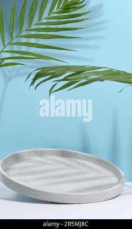 Gray empty decorative plate and glass vase with green palm leaf on blue background, product and cosmetic display stage Stock Photo