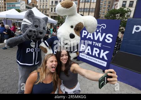 Petco's New Flagship at Manhattan's Landmark Tammany Hall Adopts 'Pet  Humanization' Store Model