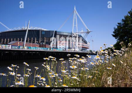 CARDIFF, WALES - MAY 27: A general view of the Principality Stadium, formerly the Millennium Stadium, on a sunny day on May 27, 2023 in Cardiff, Wales Stock Photo