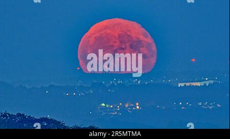 Glasgow, Scotland, UK 4th  June, 2023. UK Weather: Strawberry full moon as it rises over the south ern hills and  Whitelee windfarm on Eaglesham Moor pictured  from the west end of the city .Credit Gerard Ferry/Alamy Live News Stock Photo