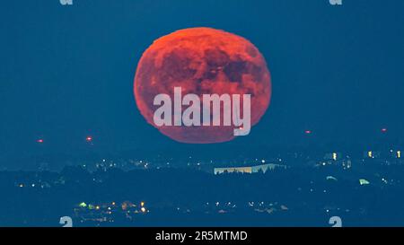 Glasgow, Scotland, UK 4th  June, 2023. UK Weather: Strawberry full moon as it rises over the south ern hills and  Whitelee windfarm on Eaglesham Moor pictured  from the west end of the city .Credit Gerard Ferry/Alamy Live News Stock Photo