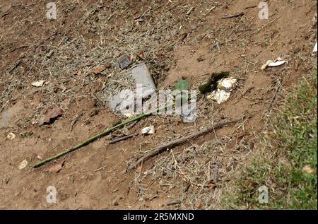 Los Angeles, California, USA 3rd June 2023 1968 Graves at Los Angeles County Crematorium at Evergreen Cemetery at 204 N. Evergreen Avenue on June 3, 2023 in Los Angeles, California, USA. Photo by Barry King/Alamy Stock Photo Stock Photo