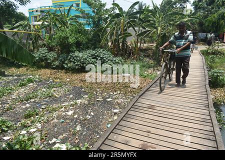 Kolkata, India. 04th June, 2023. A person is crossing a wooden pool on a polluted canal on the outskirts of Kolkata. (Photo by Sudipta Das/Pacific Press) Credit: Pacific Press Media Production Corp./Alamy Live News Stock Photo
