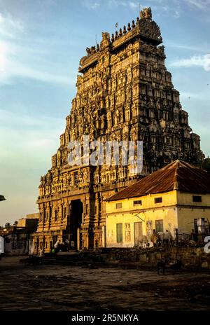 Wastern side Rajagopuram of Thillai Nataraja temple in Chidambaram, Tamil Nadu, South India, India, Asia Stock Photo