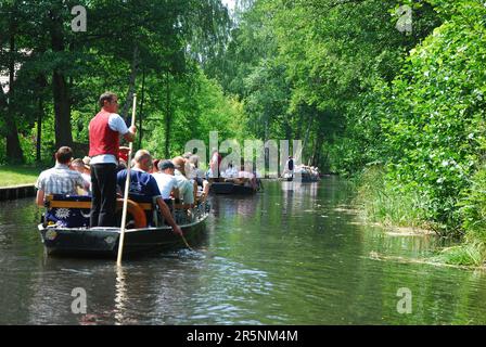 Tourists in boat, on canal, Luebbenau, Biosphere Reserve Spreewald, Brandenburg, boat trip Stock Photo