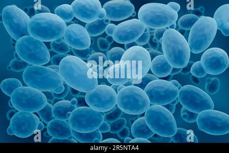 Saccharomyces yeast, illustration Stock Photo