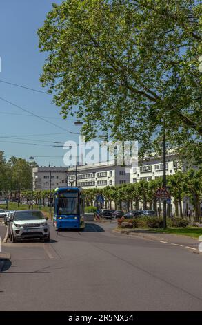 Houses in the bornheimer hang settlement, Frankfurt, Germany Stock Photo