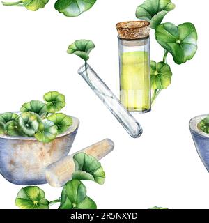 Centella asiatica, essential oils, stone bowl watercolor seamless pattern isolated on white. Mortar, glass flask, test tube, gotu kola hand drawn. Des Stock Photo