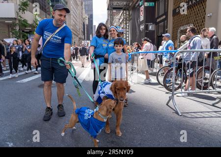 NEW YORK, NEW YORK - JUNE 04: Participants holding Israeli flags and
