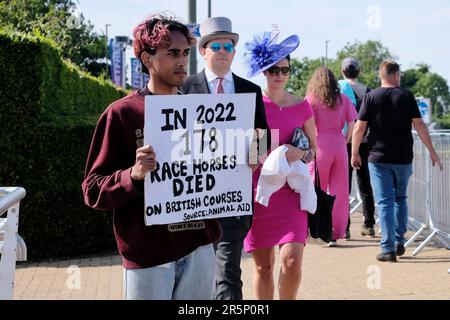 Epsom, UK. Racegoers pass an animal rights activist on Derby Day, highlighting the number of deaths of racehorses in 2022. Stock Photo