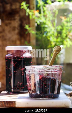 Jars of romanian traditional homemade black mulberry jam. Stock Photo