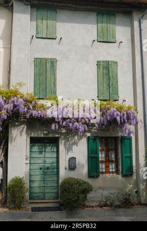 ancient house with green wooden doors and shutters on the windows. Wisteria flowers on the facade of the building. European province Stock Photo