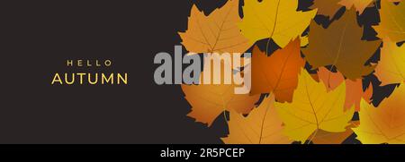 Vector autumn background with realistic maple leaves on dark brown backdrop. Hello autumn concept wide banner for shopping sale or promo poster Stock Vector
