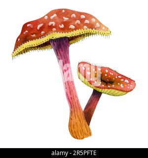 Fantasy fairytale fly agaric mushrooms with yellow stripe and hair watercolor illustration. Detailed Halloween clipart Stock Photo