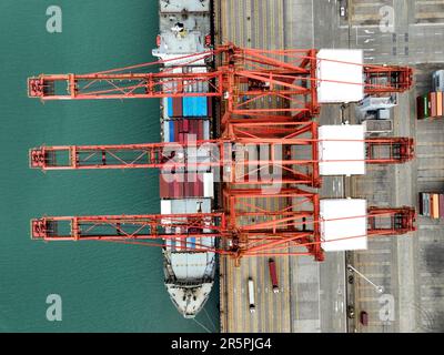 LIANYUNGANG, CHINA - JUNE 7, 2023 - Cargo ships dock at a berth to load ...