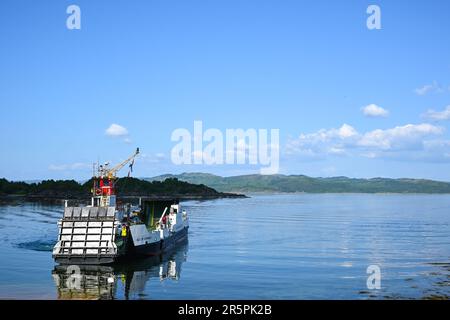 The Caedonian Macbrane ferry 'Isle Of Cumbrae' approaches the port of Tarbert on the Kintyre Peninsula on Loch Fyne, Argyll, Scotland. Stock Photo