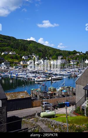 A view of vessels moored in Tarbert Harbour, Loch Fyne, Argyll, Scotland. Stock Photo