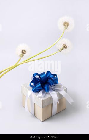 Silver gift box with blue bow and soft fluffy dandelions with white seeds. Father's Day and Birthday greeting card Stock Photo