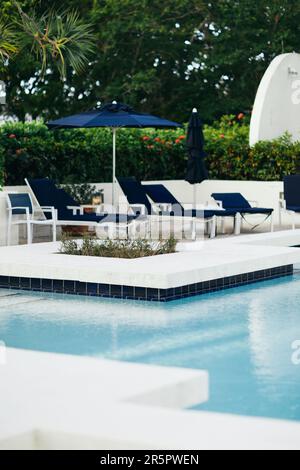 vacation and holiday concept, blue sunbeds and outdoor chairs near umbrellas around green palm trees and tropical plants next to outdoor swimming pool Stock Photo