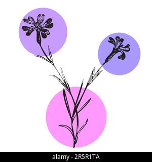 Botanical hand drawn wildflower on color patch isolated white background. Vintage creative flower bouquet. Vector illustration greeting card, design, Stock Vector