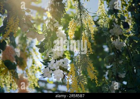 A magnificent archway decked with stunning flowers, drooping blooms, and lush foliage against a stunning blue sky. Stock Photo