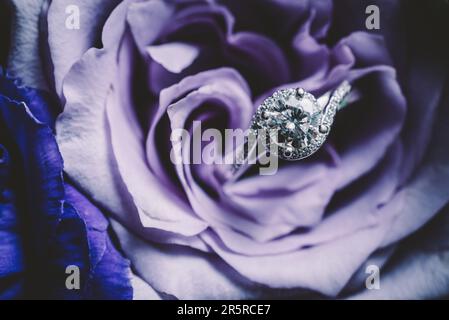 Macro photo of a round cut one carat diamond set in an engagement ring resting in a purple rose petal wedding flower bouquet Stock Photo