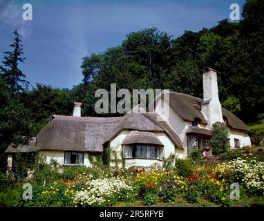 England. Somerset. Selworthy Green. Thatched cottage. Stock Photo