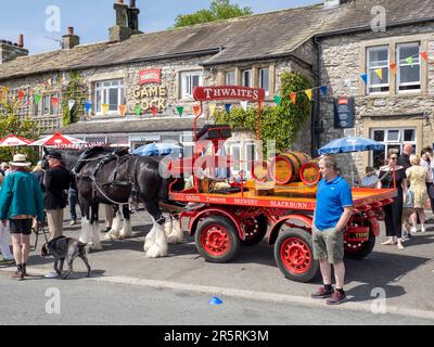 Shire horses from Thwaites Brewery at the Cuckoo festival in Austwick, Yorkshire Dales, UK. Stock Photo