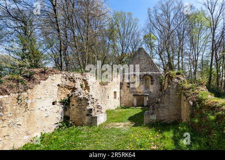 France, Eure, Sainte-Croix-sur-Aizier, Route des Chaumières loop, Saint-Thomas Chapel, former leper colony, on the Chemin Perrey, old medieval path, linking Pont-Audemer to Vieux-Port, on the banks of the Seine River Stock Photo