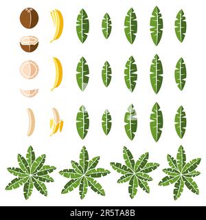 Set of color illustration with tropical palm, leaves, coconut and banana. Isolated vector object on white background. Stock Vector