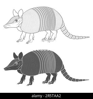 Set of black and white illustration with an armadillo. Isolated vector objects on white background. Stock Vector