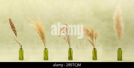 dried flower cereals in a can on a watercolor green background Stock Photo