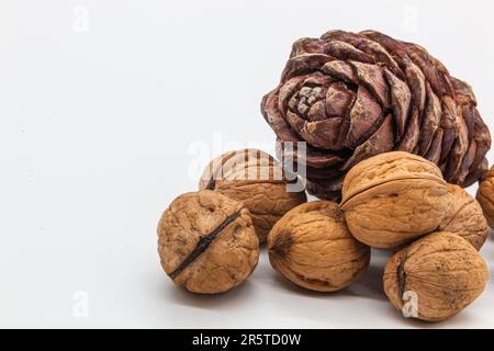 Handful of textured walnuts on white background and brown pine cone with nuts inside on white background. Healthy Food. High quality photo. Isolated. Stock Photo