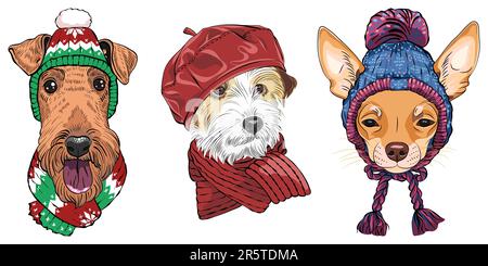 Set of hipster dogs in warm winter knitted hats and scarves. Airedale Terrier, Jack Russell Terrier and Chihuahua. Stock Vector