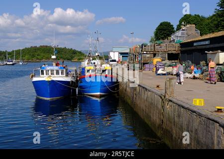 Tarbert, Scotland, UK. 5th June 2023.  Glorious warm and sunny weather continues on the west coast, people enjoying the outdoors in an attractive setting with the scenic villages along the coast. Tarbert harbour.     Credit: Craig Brown/Alamy Live News Stock Photo