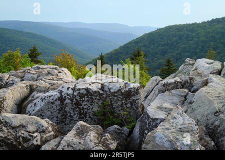 Boulders in foreground with green forests and distant mountains from from Lions Head, Dolly Sods Wilderness, West Virginia Stock Photo